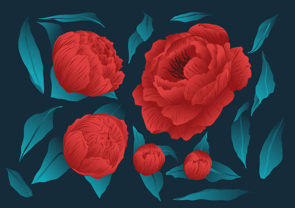 花の要素、赤い花のリソースのセット。赤と緑の色のベクトル化されたバラ. - ベクター画像