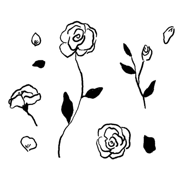 Vector line drawing set rose of flowers - Vektor, kép