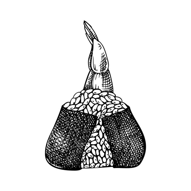 Hand-drawn onigiri with shrimp sketch. Japanese rice ball drawing in engraved style. Japanese food illustration isolated on white background. Rice ball wrapped with dried nori. Edible seaweed recipe - Wektor, obraz