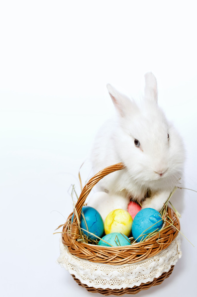 Little Easter bunny in the basket - Foto, Imagen