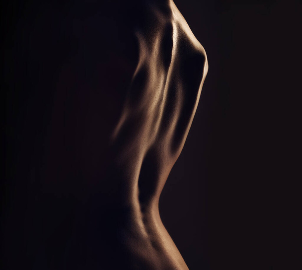 Nude, back and silhouette, sexy woman with body closeup, dark aesthetic and art, skin and sensual on black background. Desire, beauty and creative with seduction, cosmetics and naked female in studio. - Photo, image