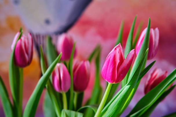 Kytice barevných tulipánů s malbou v pozadí. Selektivní zaměření na jednu květinu.  - Fotografie, Obrázek