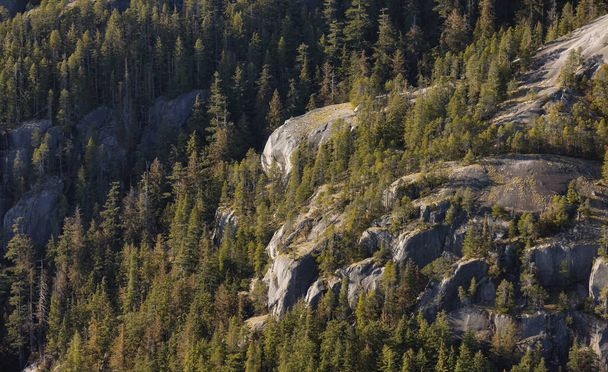 Rocky cliffs on Chief Mountain in Squamish, BC, Canada. Nature Background. Sunny day. - Foto, imagen