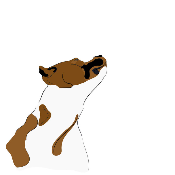 Americká Staffordshire Terrier vektorová ilustrace. Ručně tažený pes. Samolepka izolované na bílém pozadí. - Vektor, obrázek