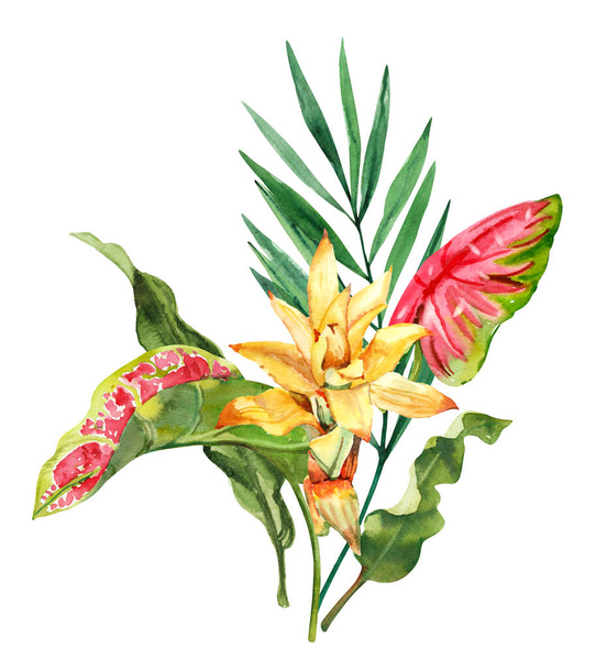 Acquerello disegnato a mano foresta pluviale composizione bouquet foglie tropicali. Illustrazione botanica isolata su sfondo bianco. Pittura a mano acquerello floreale clip art - Foto, immagini