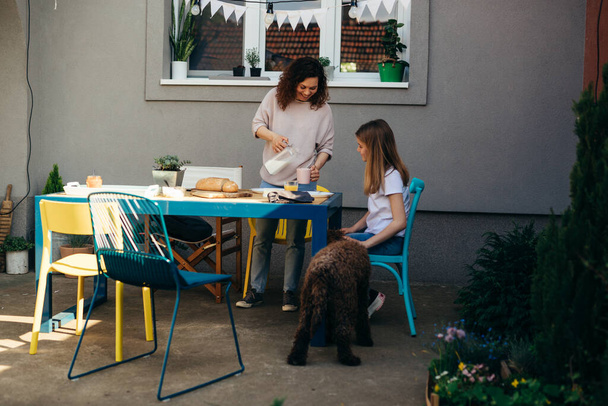 Mother is pouring milk for breakfast and daughter pats a dog in the backyard - Foto, Bild
