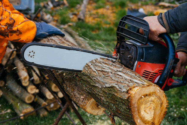 Close up shot of a male hand cutting a piece of firewood with a chainsaw in spring. - Photo, Image