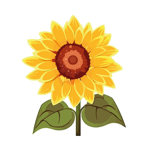 sunflower flower beauty and growth icon isolated - Vector, imagen