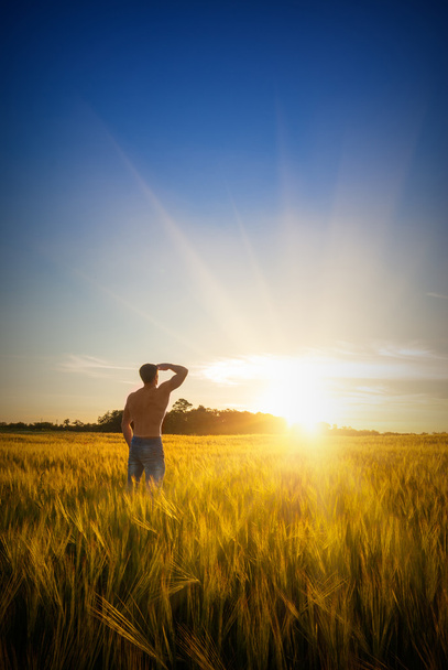 Человек в пшеничном поле - Фото, изображение