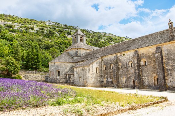 Abbey of Senanque and blooming rows lavender flowers - Foto, Bild