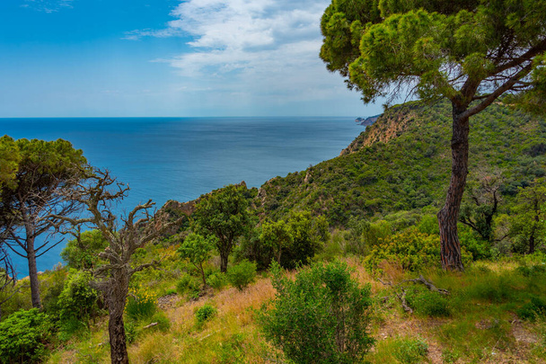 Coastline of Costa Brava in Spain. - Fotografie, Obrázek