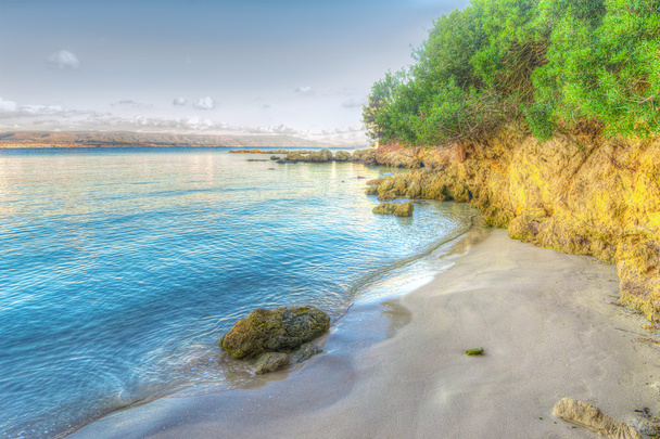 skały i roślin w Lazzareto beach - Zdjęcie, obraz