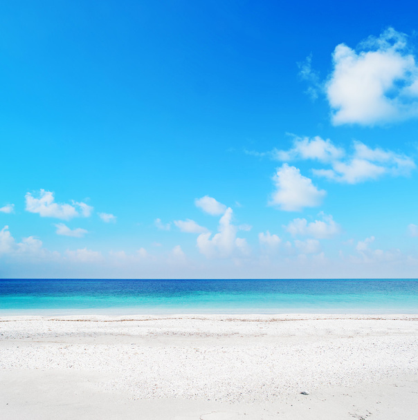 Stintino plaży w pogodny dzień - Zdjęcie, obraz