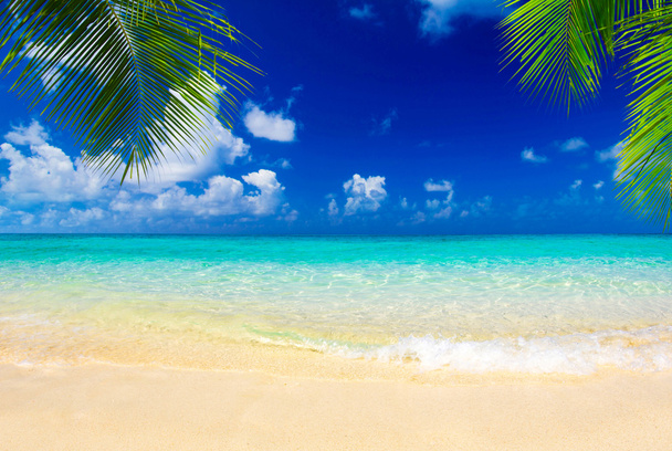Тропічне море і блакитне небо
 - Фото, зображення