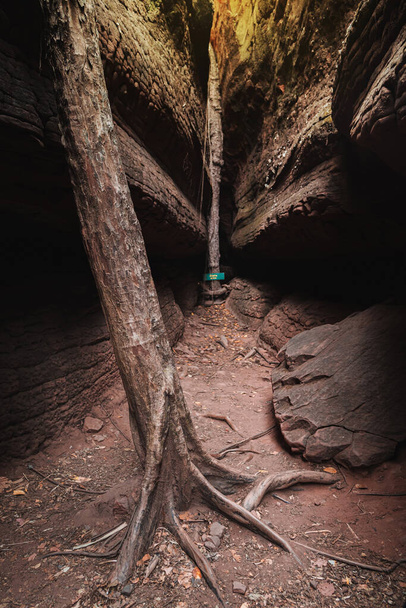 中洞窟の巨大なヘビのスケールの石。ブアンカン・タイのフーランカ国立公園で. - 写真・画像