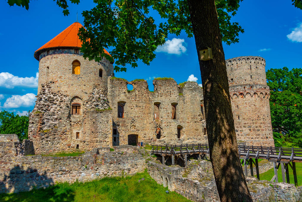 View of the Cesis castle in Latvia. - Fotó, kép