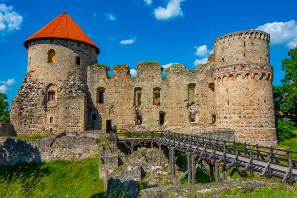 View of the Cesis castle in Latvia. - Fotografie, Obrázek