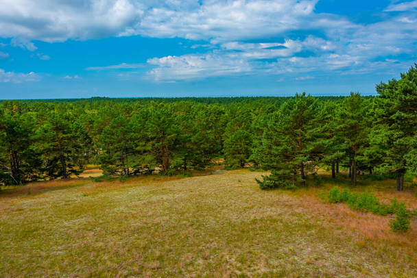 Panorama view of Curonian spit peninsula in Lithuania. - Фото, изображение