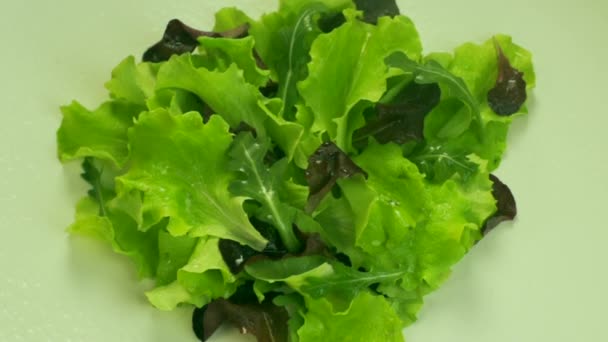 zelený salát - Záběry, video