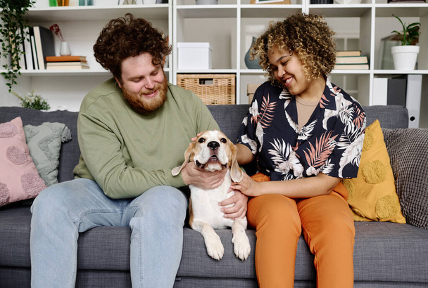Jeune couple heureux assis sur le canapé avec leur chien, ils caressant leur animal de compagnie et parler avec elle - Photo, image