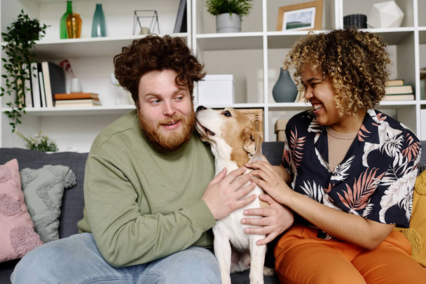 Мультинациональная пара развлекается на диване со своей собакой, играет с домашними животными и смеется - Фото, изображение
