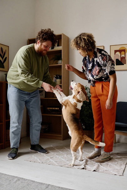 Νέοι υπέρβαροι άνδρες κρατώντας το σκυλί του για τα πόδια και τη γυναίκα δίνει εντολές κατά τη διάρκεια της κατάρτισης στο σπίτι - Φωτογραφία, εικόνα