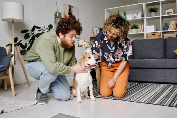 Multiethnic mladý pár trénink jejich čistokrevný pes, zatímco sedí na podlaze v obývacím pokoji - Fotografie, Obrázek