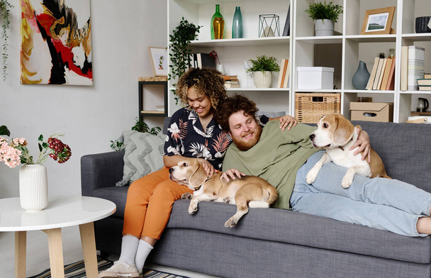 Счастливая молодая пара отдыхает на диване в гостиной лаская и общаясь со своими прекрасными собаками - Фото, изображение