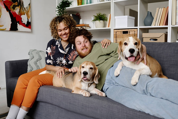 Bearded overweight man lying on sofa with his pets around and his girlfriend sitting behind and embracing him, they spending time at home - Fotó, kép