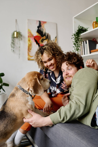 Улыбающаяся многонациональная пара, отдыхающая дома на диване, общающаяся и играющая со своей собакой - Фото, изображение