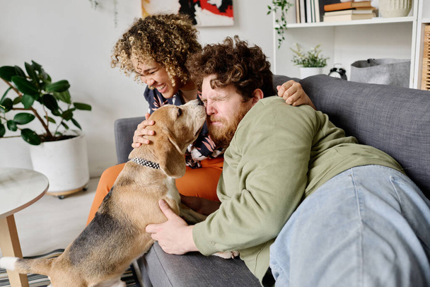Cute dog licking face of owner while he lying on sofa with girl laughing in background - Photo, Image