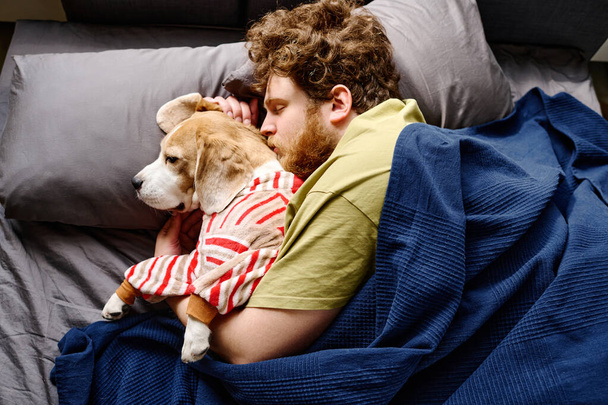 High angle view of bearded young man lying under blanket in bed and cuddling his dog - Foto, Imagem