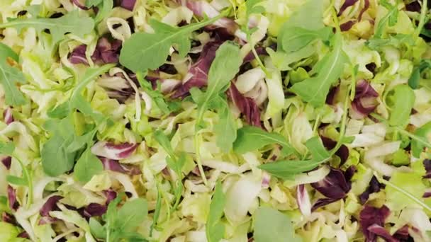 Salade aux légumes. Salade de légumes vitaminés, vue sur le dessus - Séquence, vidéo