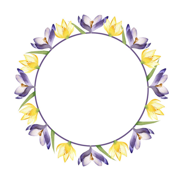 Watercolor wreath with spring flowers crocuses on white background. Floral frame - Photo, Image