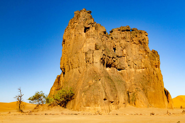 Djanetの近くに泣いている牛(La Vache Qui Plure)の有名な岩の彫刻と素晴らしい岩の形成。タシリ・ナジェール国立公園,アルジェリア,アフリカ - 写真・画像