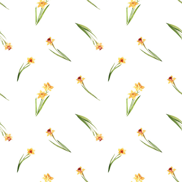 Υδατογραφία floral απρόσκοπτη μοτίβο με κίτρινο νάρκισσους σε λευκό φόντο. Λεπτό φλοράλ φόντο. Παιδικά υφάσματα, χαρτί περιτυλίγματος. - Φωτογραφία, εικόνα