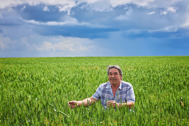 Portrait of senior farmer standing in wheat field examining crop during the day. - Фото, изображение