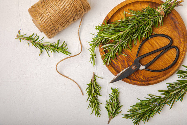 Rosemary and retro scissors in a wooden plate on a white textural background. Fresh spice herbs. Seasoning for meat and fish. Recipe. Organic bouquet of fresh rosemary on the table. Place for text. - Foto, imagen