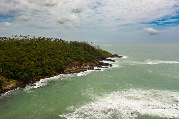 Palmy na skalistym brzegu i ocean z dużymi falami. Secret Beach Mirissa, Sri Lanka. - Zdjęcie, obraz