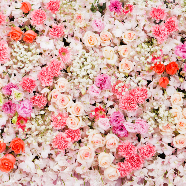 Güzel Çiçekler arka planı - Fotoğraf, Görsel