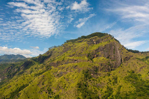 Widok góry z tropikalnej roślinności i drzew na tle błękitnego nieba i chmur. Krajobraz górski na Sri Lance. - Zdjęcie, obraz