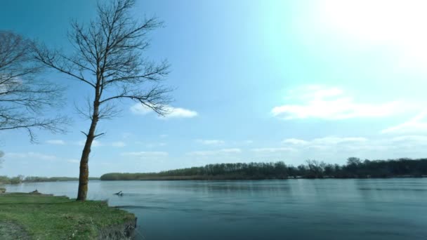 Céu azul, rio e árvores. Paisagem. clipe lapso de tempo sem pássaros
 - Filmagem, Vídeo