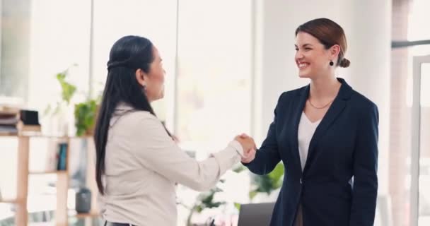 面接、パートナーシップ、 b2bのためのビジネスの人々、握手や会議やオフィスで一緒に対処します。職場での導入、挨拶やチームワークの合意に握手をする幸せな女性従業員. - 映像、動画