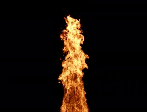 Ogień - duży burzliwy słup ognia - podnoszenie się ognia - 4K PRO OZE - Materiał filmowy, wideo