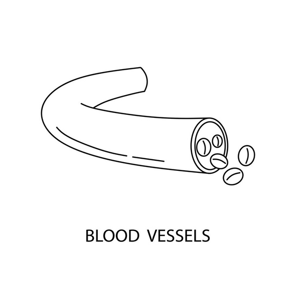 Εικόνα γραμμής αιμοφόρων αγγείων - Διάνυσμα, εικόνα