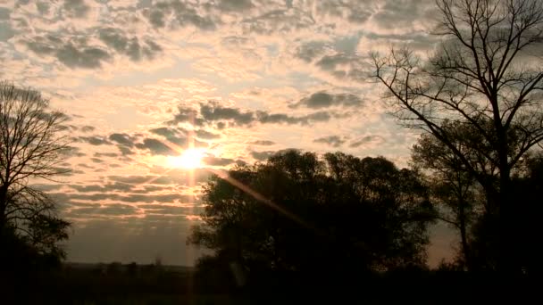 Prachtige bewolkt zonsondergang met zonnestralen in hout. Time-lapse - Video