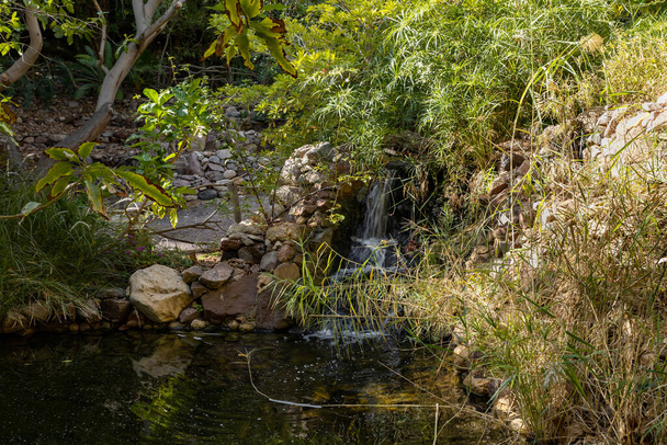 Eilat, Israel, December 13, 2022 : A small decorative pond with a decorative waterfall on display at the Botanical Garden in Eilat city, southern Israel - 写真・画像