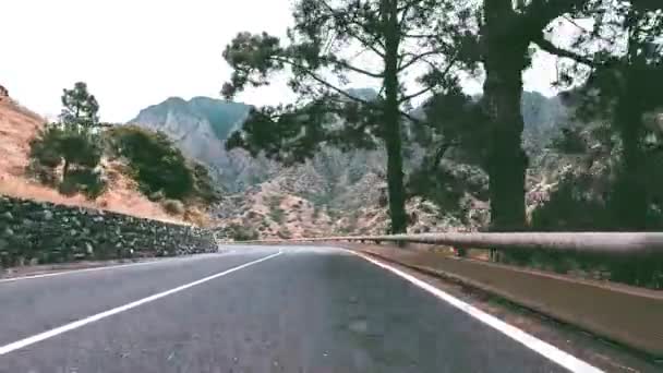 punkt widzenia materiał filmowy z jazdy samochodem przez tropikalną drogę na wyspie - Materiał filmowy, wideo