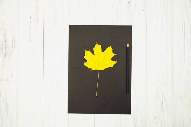 folhas de outono em um fundo de madeira - Foto, Imagem