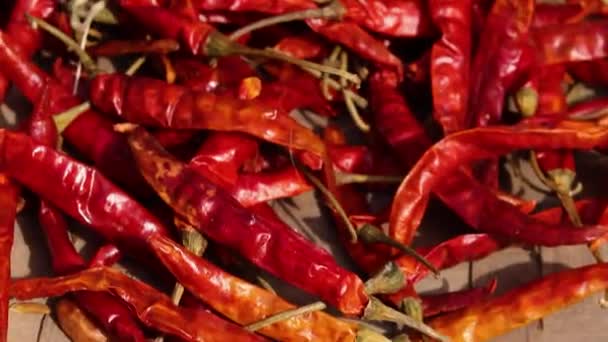 červené chilli mnoho z plochého úhlu v den - Záběry, video